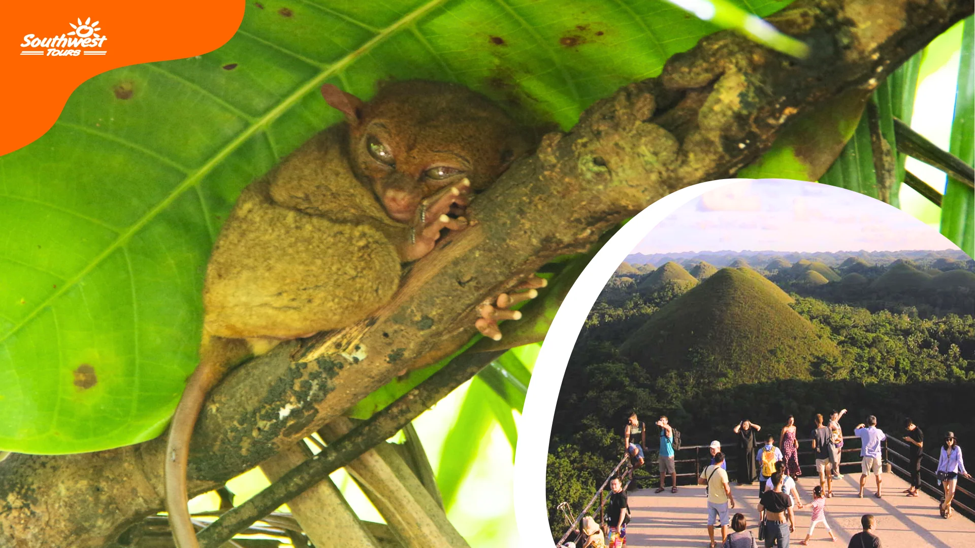  Bohol Countryside Tour